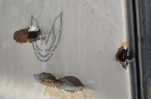 Bullet-Riddled And Abused, Malaise Firebird Accepts Junkyard Fate