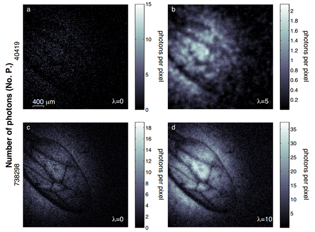 Investigadores logran tomar una foto en una oscuridad casi absoluta
