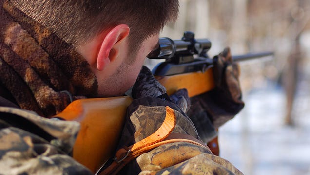 How To Buy Your First Hunting Rifle