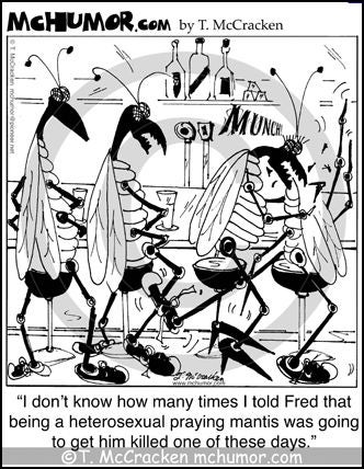 The Female Praying Mantis Was Framed!