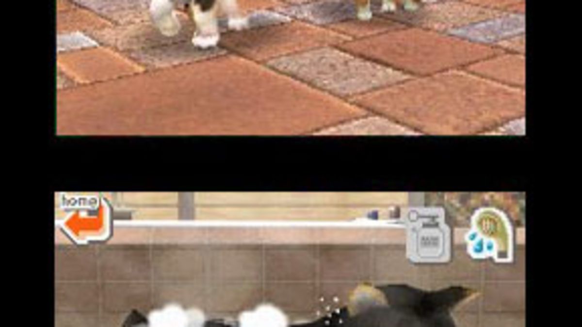 Nintenducation – A New Take On Edutainment