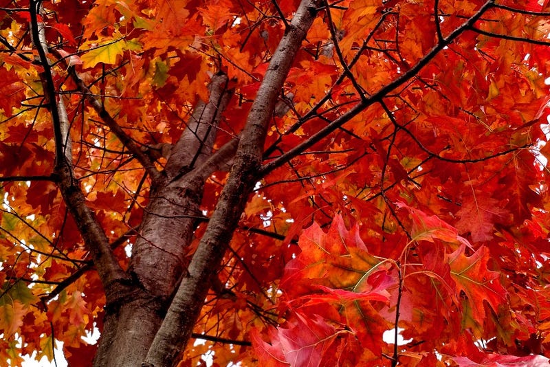 48 Photos Of Autumn Around The World