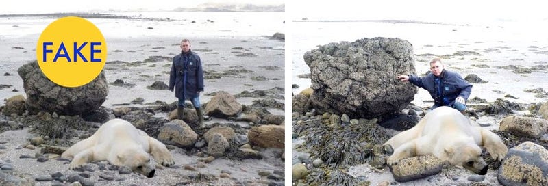 9 More Viral Photos That Are Completely Fake