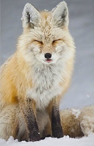 Nature Photos That Will Rock Your World