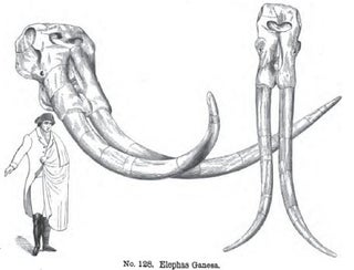 How the Democrats Tried to Destroy Dinosaur Art