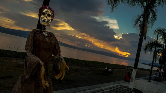 8 Skeletal Celebrations Of Día De Muertos