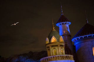 Disney World builds a giant, fire-breathing dragon that can FLY