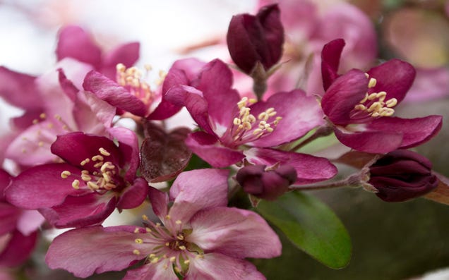 Shooting Challenge: Spring Gallery 1