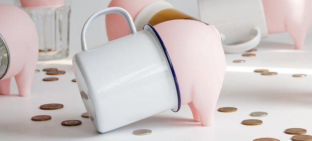 Rubber Swine Turns Anything Smashable Into a Piggy Bank