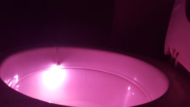 Illumibowl Is the Toilet Nightlight We All Hoped It Would Be