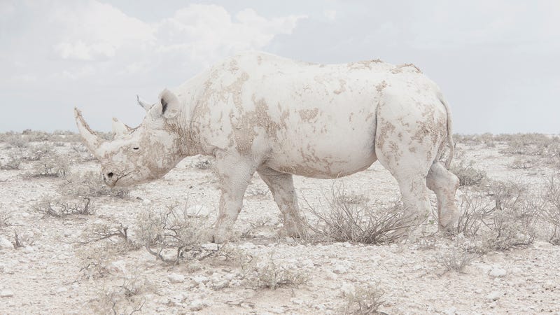 Las fotos más espectaculares de los Sony World Photography Awards parecen de otra dimensión