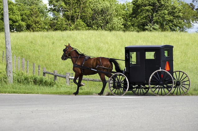 Horse and Buggy Robbed by Masked Gunmen