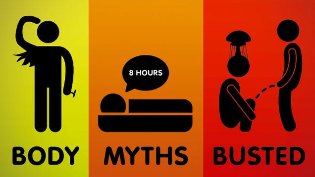 10 Stubborn Body Myths That Just Won't Die, Debunked by Science