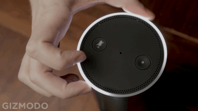 Amazon Echo Is Suddenly a Lazy Stoner’s Dream