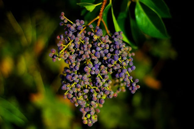 11 Photos Of Delicious Fall Foods