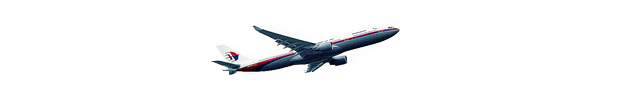 U.S. Intelligence Vets Criticize Obama for Peddling Weak MH17 Evidence