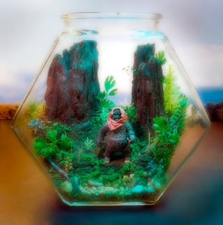 Star Wars terrariums bring a little piece of Dagobah into your home