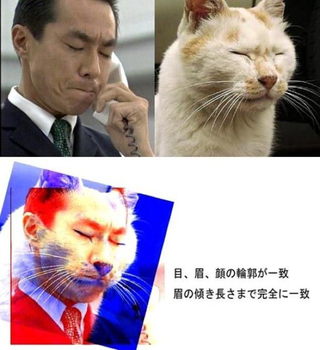 Japan's "Totally Looks Like" Meme Is Totally Amusing