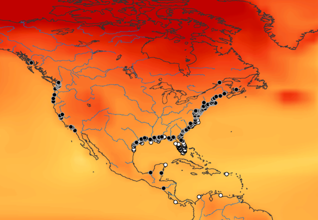 the-ocean-s-dead-zones-could-be-getting-a-lot-worse