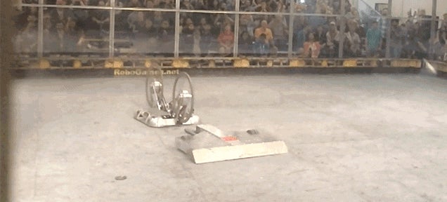 Watch This Fighting Robot Die in Agonizing Slow Motion