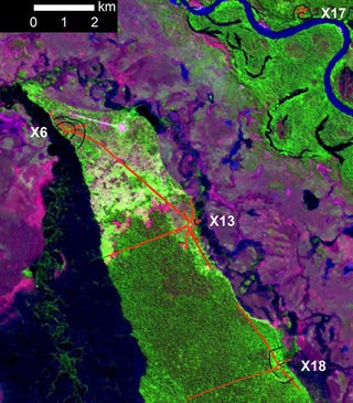 Remains of a 1500-Year-Old City Uncovered in Amazonian Jungle