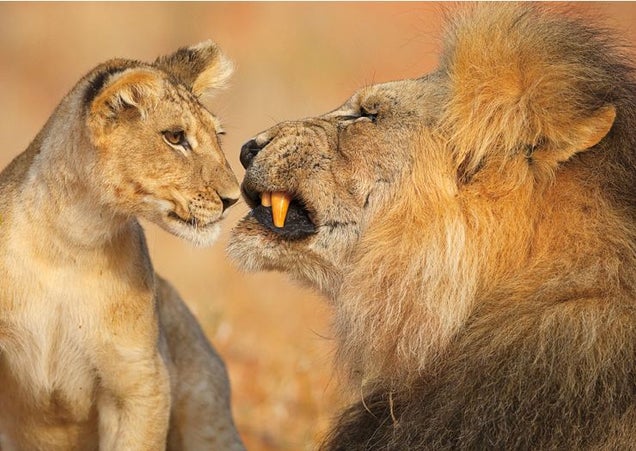 Nature Photos That Will Rock Your World