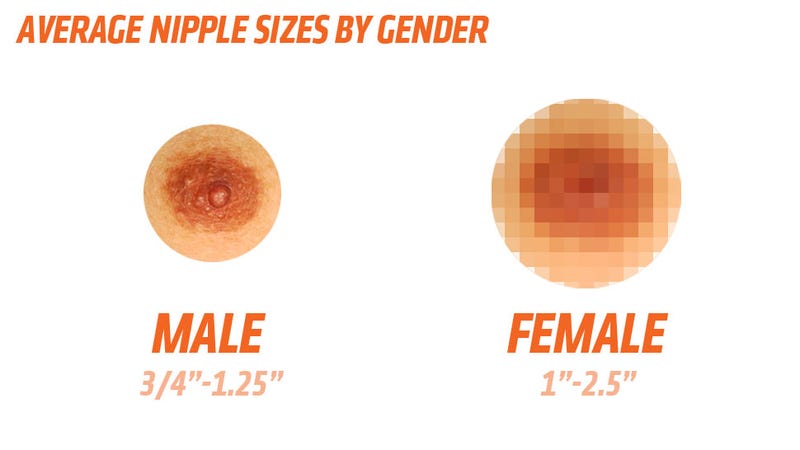 Average Size Of Nipples 119
