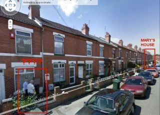 How 4chan Brought the Evil British Cat Bin Woman to Justice