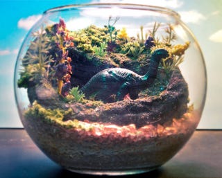 Star Wars terrariums bring a little piece of Dagobah into your home