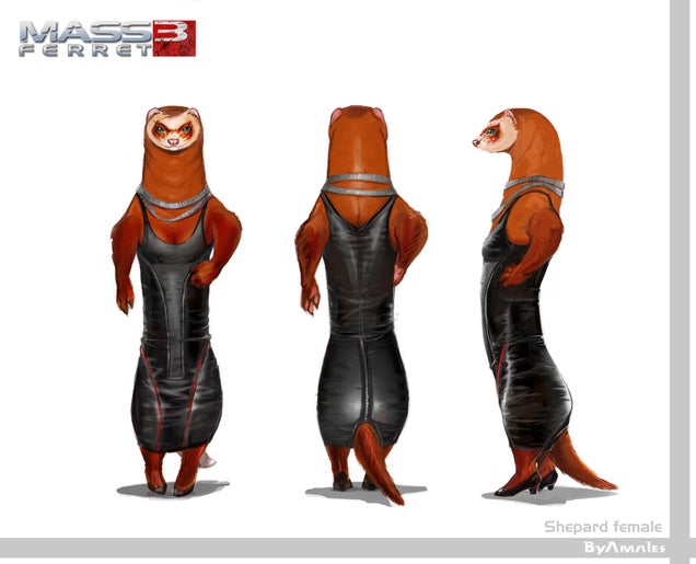 Ferrets as Famous Video Game Characters. It's Way Better Than You Think.