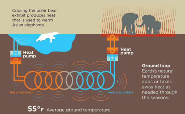 How Polar Bears Will Keep the Elephants Warm at the Oregon Zoo