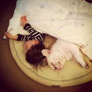 These Photos of an Adorable Little Boy and His French Bulldog Buddy Single-Handedly Justify the Existence of Instagram
