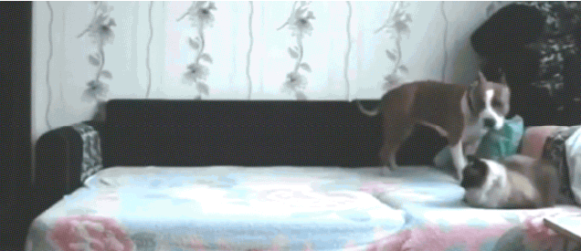 wslilloy8xaymlzes4xo.gif