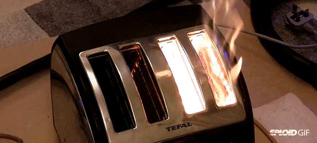Glorious lunatics overdrive toaster to make toasts in under 10 seconds