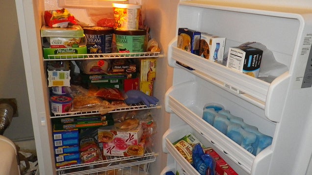 Save Money and Use Up Food with a Freezer Cleanse Every Six Months