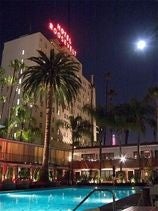 Roosevelt Hotel Fights Back: 'Our Pools Are 100% Corpseless'