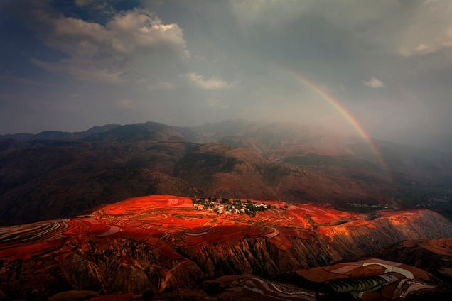 Holy crap, these entries from Nat Geo's 2012 Photo Contest are absolutely gorgeous