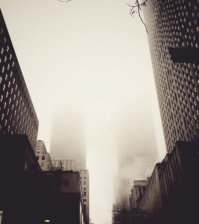 44 Of The Best Smartphone Photos You Can Take