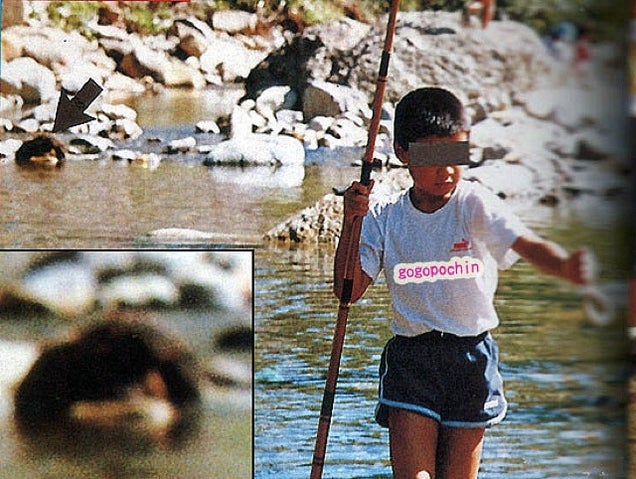Japanese Photobombs Get Creepy and Spooky. Even with Cats.