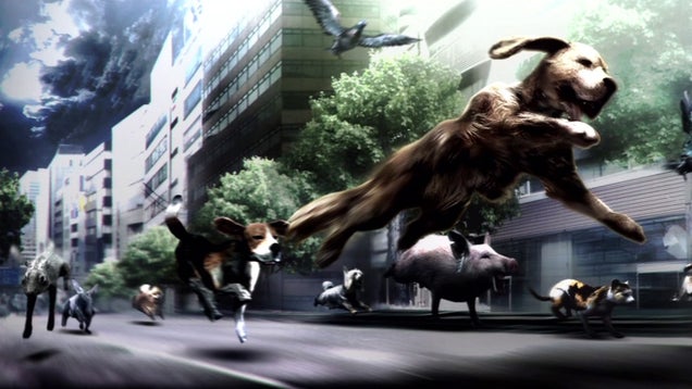 Watch Out! It’s a (Tokyo) Jungle Out There