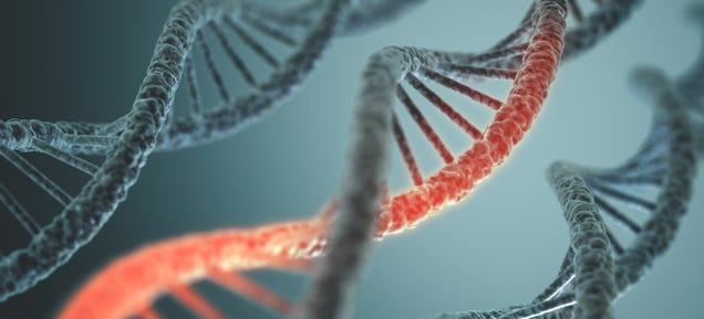 Scientists Have Created "Alien" DNA