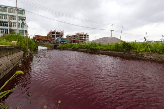 River in China mysteriously turns blood-red overnight