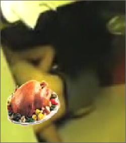 The Best (?) Of The Sex Tape Turkey Puns
