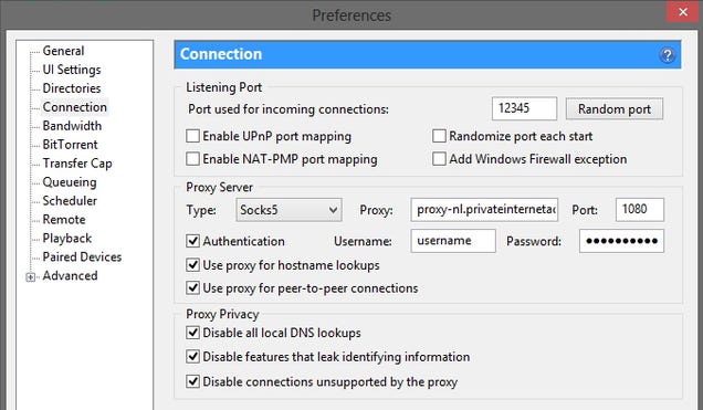 private internet access proxy host