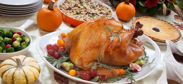 How Much Food Can You Actually Eat This Thanksgiving?