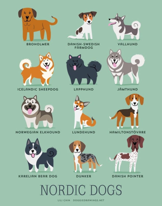 Adorable Drawings of Dog Breeds, Grouped By Their Place of Origin