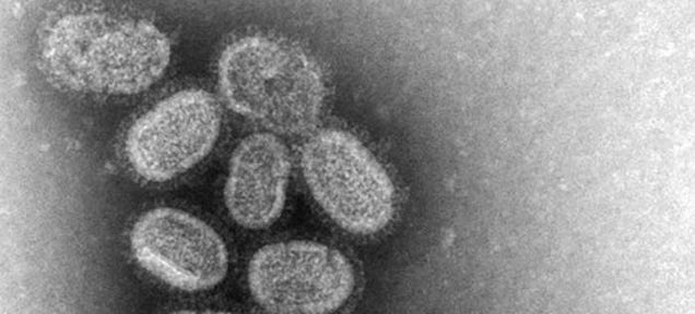 The U.S. Will Stop Funding Research into Making Mutant Super Viruses