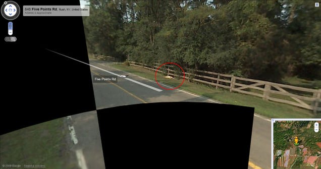 google maps car hits biker location