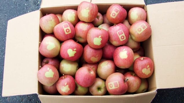 Apple Apples Are Not from Apple