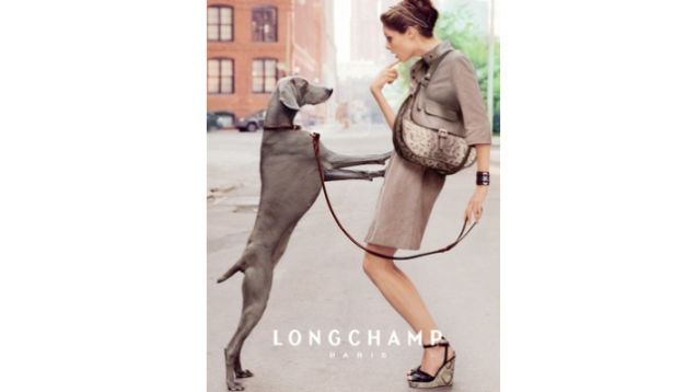 Lisa Frank's Clothing Line Comes In Grown-Up Sizes